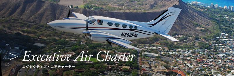 Executive Air Charter